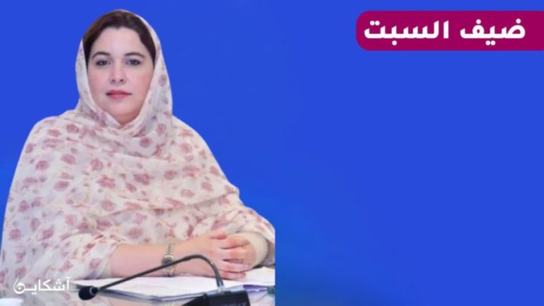 لعرايش تكشفُ كواليس نقاش اللجنة الرابعة لملف الصحراء المغربية (حوار )