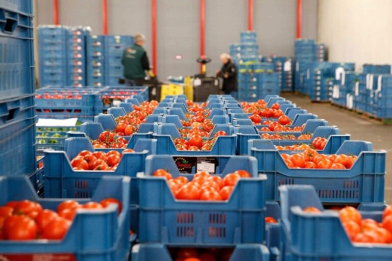 المغرب يتصدر قيمة واردات إسبانيا من الخضر والفواكه (موقع متخصص)