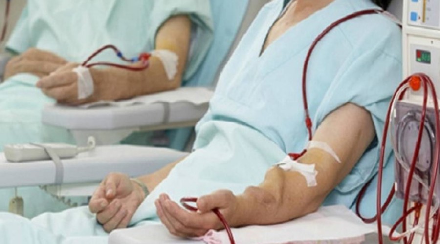 ماذا تعرف عن أعراض وخصوصيات مرض الهيموفيليا؟ .. خبير يجيب