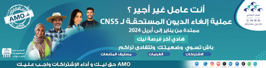 Campagne Amnistie TNS 2024 – 970×250