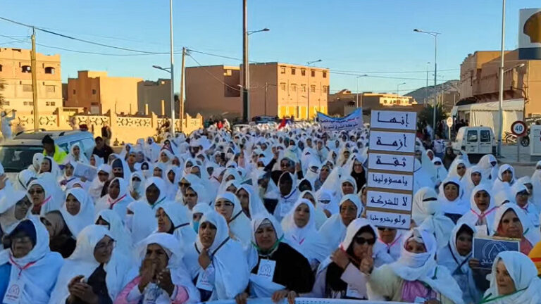زيزح يكشف تفاصيل استقالة نصف أعضاء مجلس جماعة بسبب “حراك الماء”
