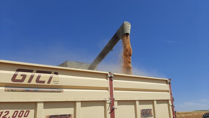 المغرب يخطط لاستيراد حوالي 10 ملايين طن من الحبوب