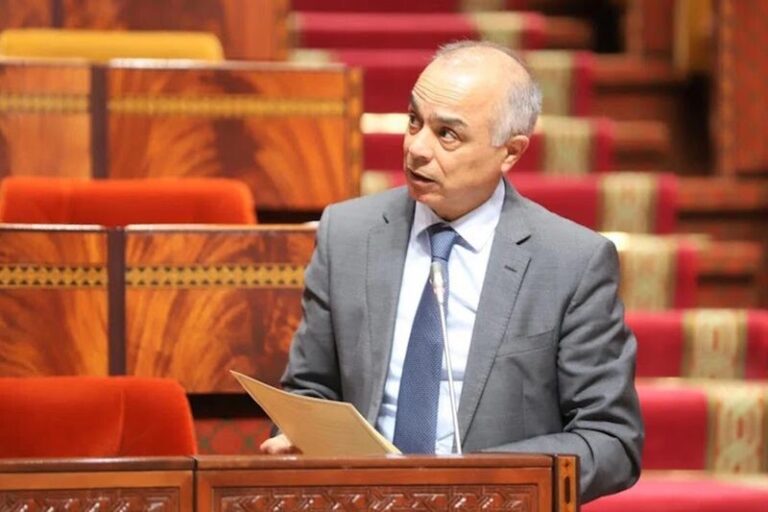 السحيمي: تصريحات بنموسى لا تساعد على المضي قدما في اتجاه تجاوز الأزمة