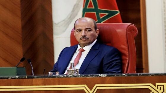 ميارة: السياسات القطرية وحدها غير كافية في مواجهة التحديات المرتبطة بالهجرة والتغيرات المناخية