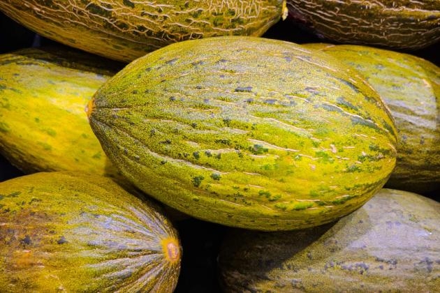 قلق إسباني من إنخفاض محاصيل البطيخ وارتفاعها بالمغرب