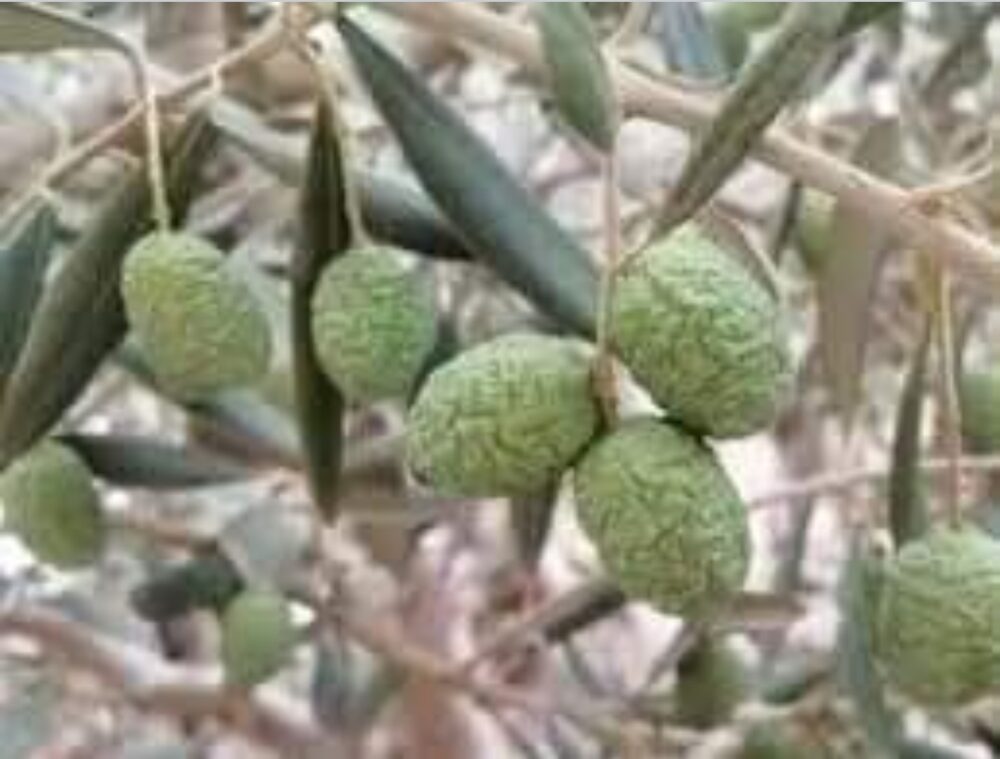 الماء والحياة…
