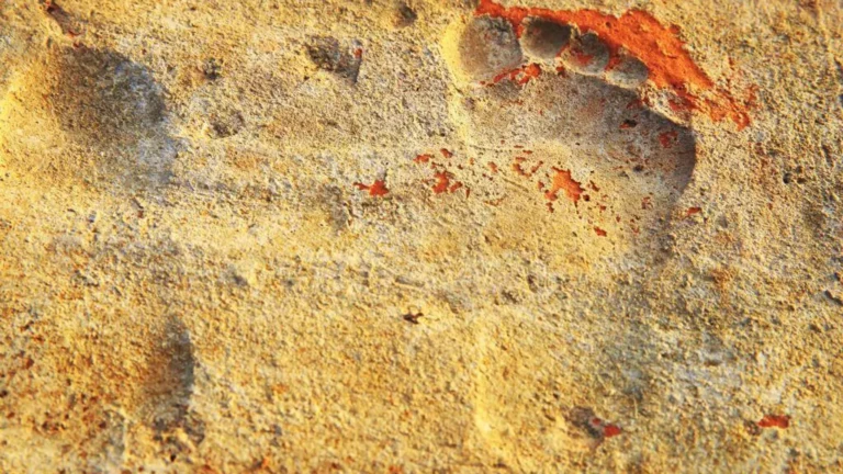 آثار أقدام تعود إلى 1.5 مليون سنة تكشف مفاجأة عن نوعين من البشر