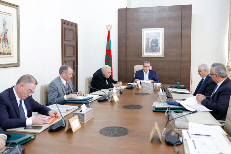بقيمة 319 مليار درهم.. أخنوش يكشف عن مشاريع “عرض المغرب” في مجال الهيدروجين الأخضر (صور)