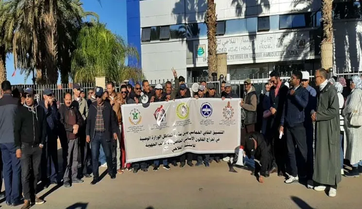 بعد سنوات من الانتظار.. وزارة الفلاحة تعلن الشروع في تغيير النظام الأساسي لموظفي مكاتب الاستثمار