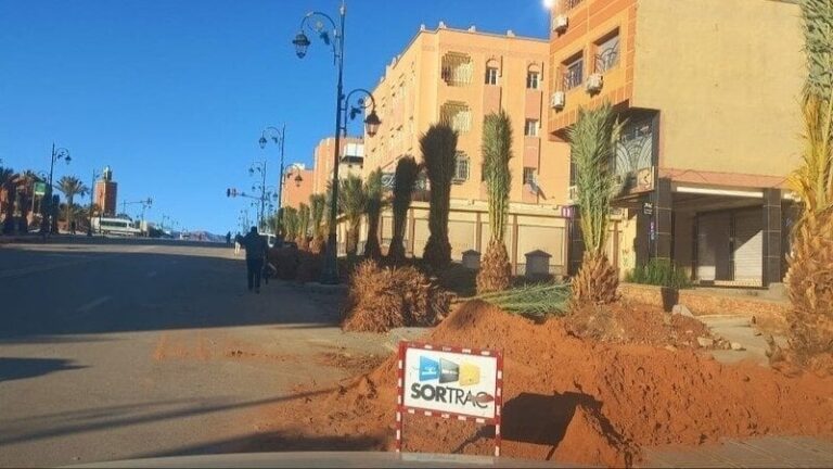 مواطنون يوقعون عريضة رفضا لتنخيل الرشيدية