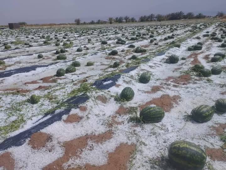 رئيس جماعة زاكورة يكشف لـ”آشكاين” حجم الخسائر التي خلفتها عاصفة “التبروري”