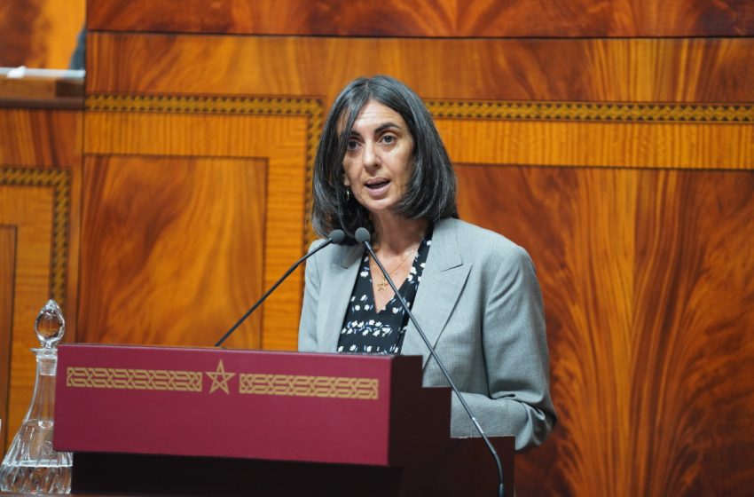 استنزاف العملة الصعبة عبر شركات القمار يجر فتاح للمساءلة