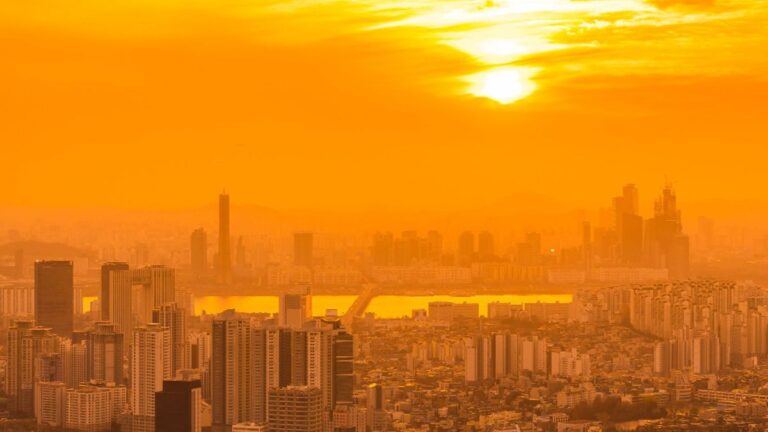 المنظمة العالمية للأرصاد الجوية تحذر .. على الجميع توقع موجات الحر أكثر شدة