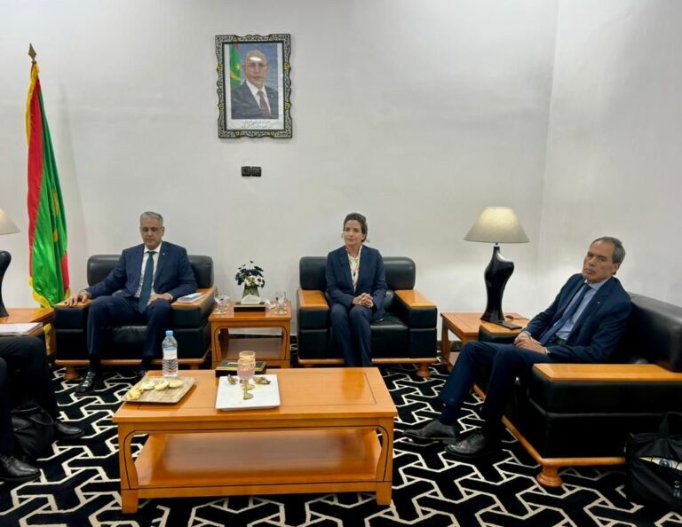 تسريع التعاون في مجالات الكهرباء والطاقات المتجددة محور مباحثات الوزيرة بنعلي مع نظيرها الموريتاني