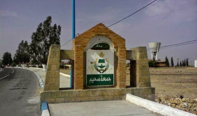 نبيل افريدي