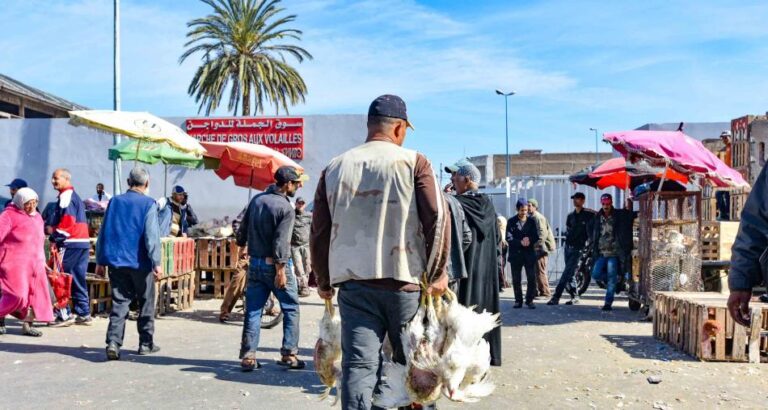 خبير اقتصادي يرصد الآثار المباشرة للضرائب الجديدة بقانون مالية 2026 على جيب المواطن