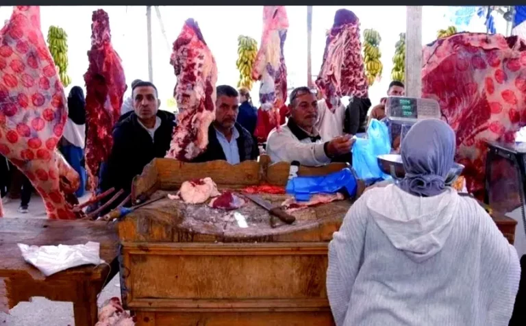 الدعم المالي للكسابة يرفع أسعار اللحوم