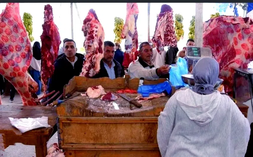 الدعم المالي للكسابة يرفع أسعار اللحوم