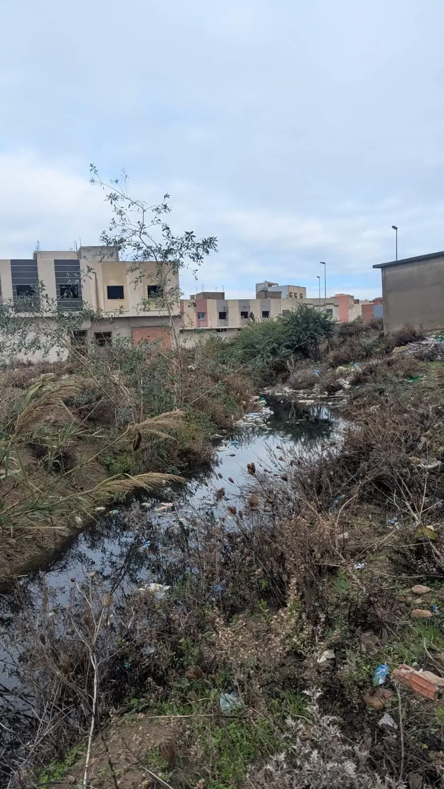 طنجة.. مياه الصرف الصحي تحاصر أحياءً سكنية بمنطقة اكزناية (صور) - آشكاين