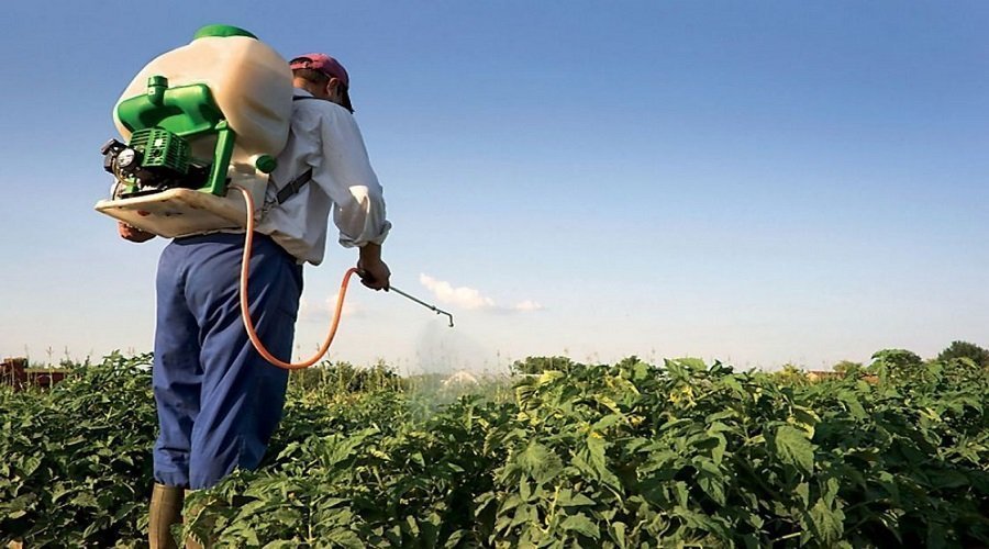 هل تؤثر “مبيدات أوروبا المحظورة” على خضر وفواكه المغاربة؟ (خبير يوضح)