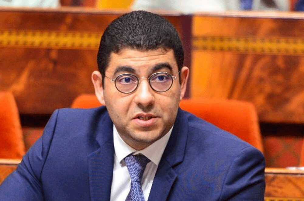 أخشيشن يحذر: لا يجب إسناد اختصاصات “منافية للدستور” للجنة إنقاذ الصحافة