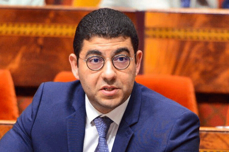 أخشيشن يحذر: لا يجب إسناد اختصاصات “منافية للدستور” للجنة إنقاذ الصحافة