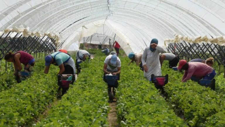 أرقام جديدة تكشف حجم حضور المغربيات في إسبانيا