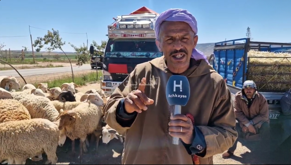 أسعار المواشي بوجدة