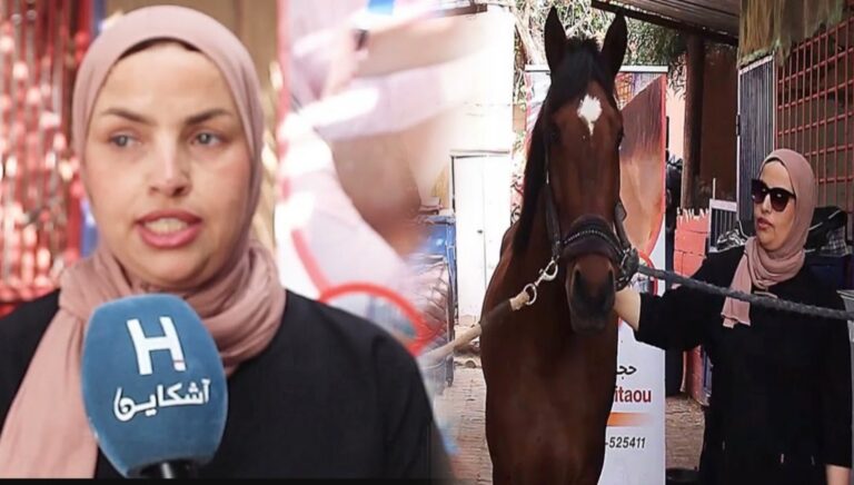 أول مغربية تمارس الحجامة للخيول