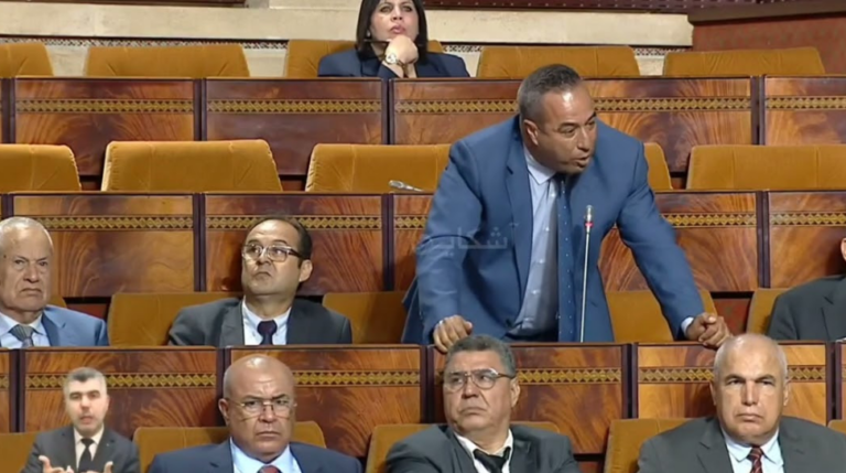 برلماني لوزيرة: واش حيت ولادك كيديهم الشيفور للمدراسة مسوقكش فمعاناة ولاد المغاربة