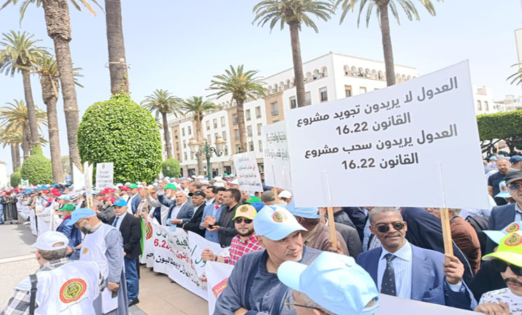 رغم الغضب.. المستشارون يمررون قانون العدول بالأغلبية