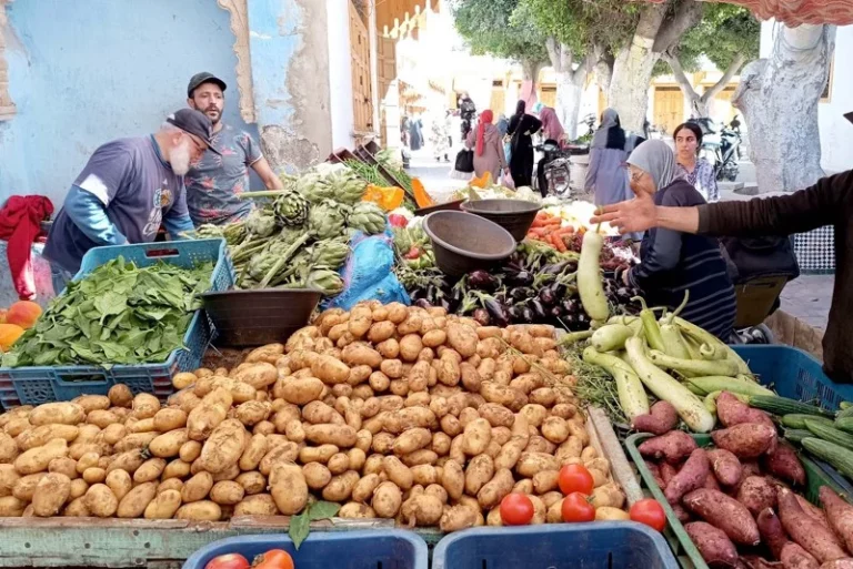 جدري: ما قامت به الحكومة مكننا من قول لا لصندوق النقد والبنك الدوليين
