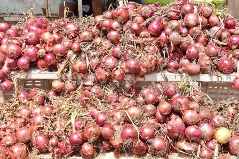 واأسفاه.. مغرب “المخطط الأخضر” يضطر لاستيراد احتياجاته من الخضر