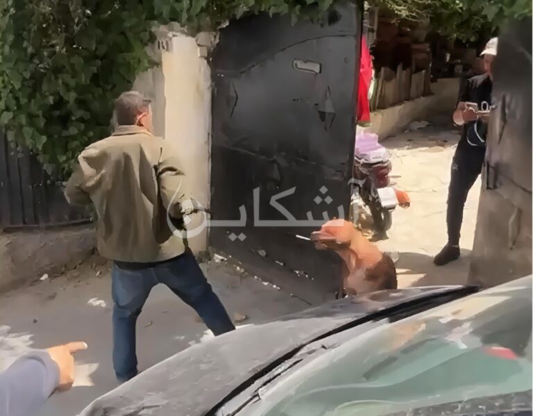 كلب شرس ينهي حياة شخص في قلب طنجة (صور)