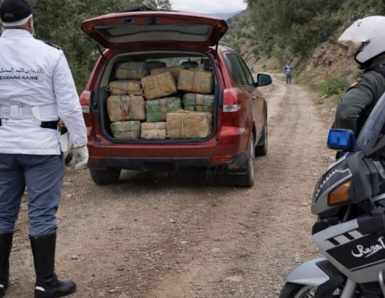 إحباط تهريب كمية ضخمة من المخدرات ضواحي طنجة