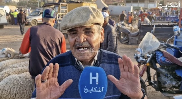وجدة.. مواطنون يشتكون غلاء الأضاحي