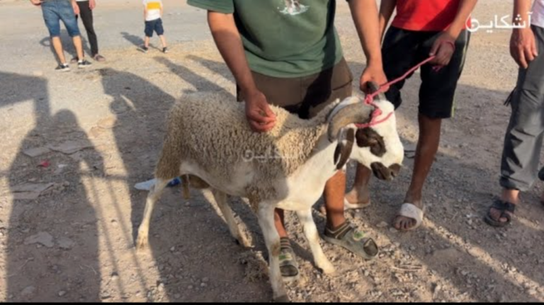 شوفوا الحولي ديال 3700 درهم