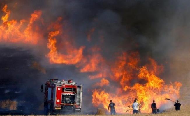 بقيادة موحدة وإمكانيات جوية ضخمة.. المملكة تختبر جاهزيتها لمواجهة حرائق الغابات