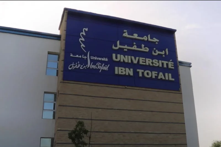 شبهة “إهانة وعنف” بجامعة ابن طفيل تجر أساتذة جامعيين إلى المساءلة القضائية