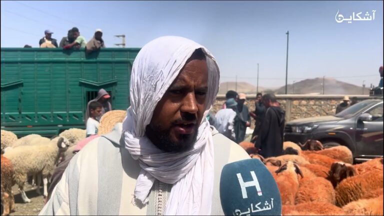 أثمنة الأضاحي بسوق مراكش