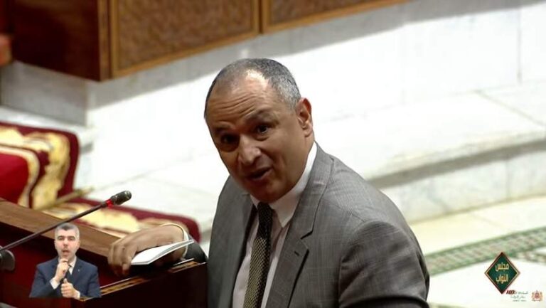الوزير مزور يدعو ‘الفراشة’ للانتقال إلى التجارة الرقمية بدل احتلال الأرصفة
