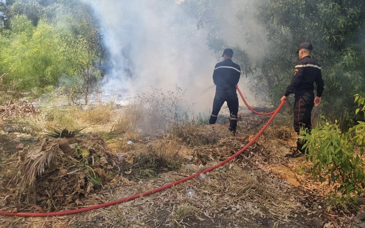 حريق بغابة مديونة يستنفر سلطات طنجة