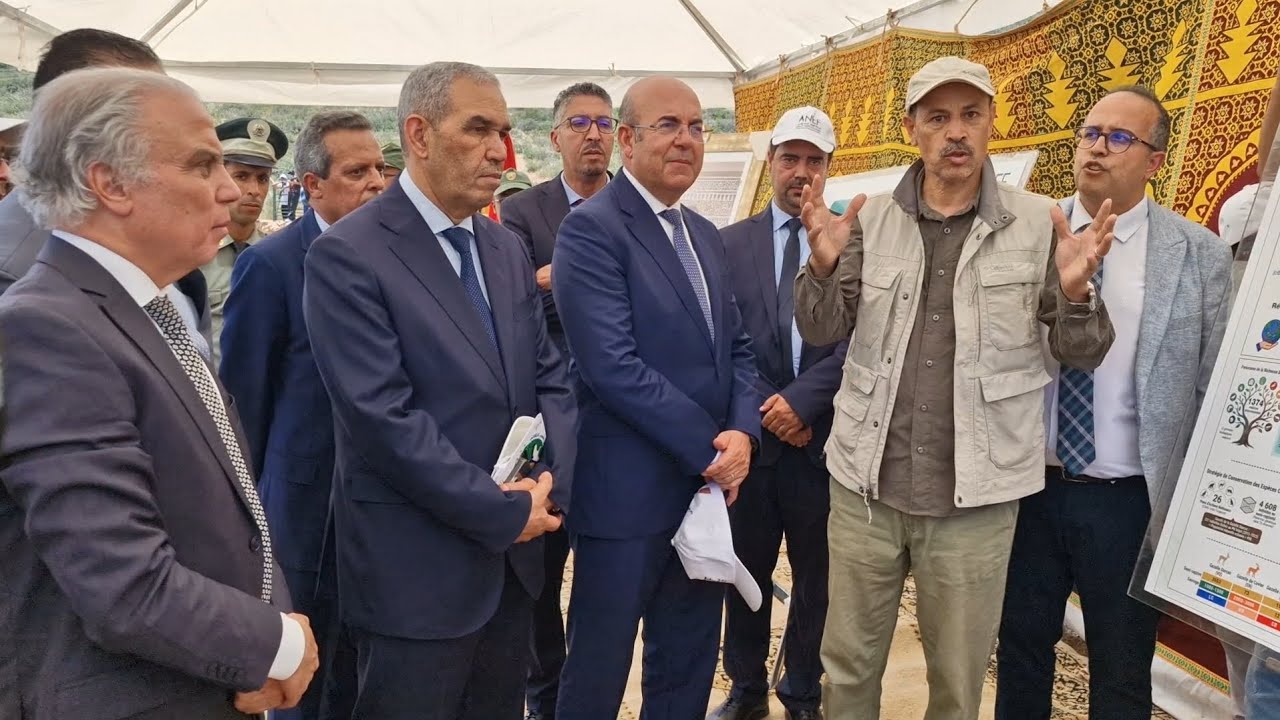 الأيل البربري يعود لمنتزه بني يزناسن