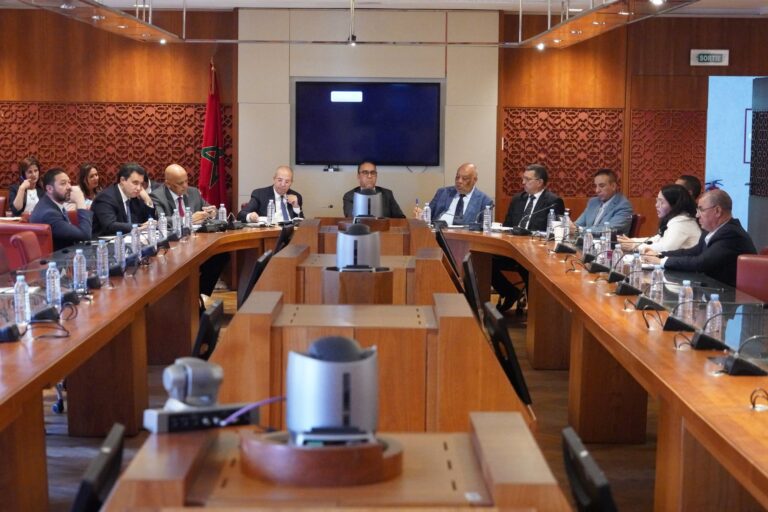 بعد أكل “بنسناس” كلبا.. البرلمان يناقش قانونا لحماية الحيوانات الضالة