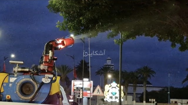 حملة بالسعيدية لمحاربة الحشرات