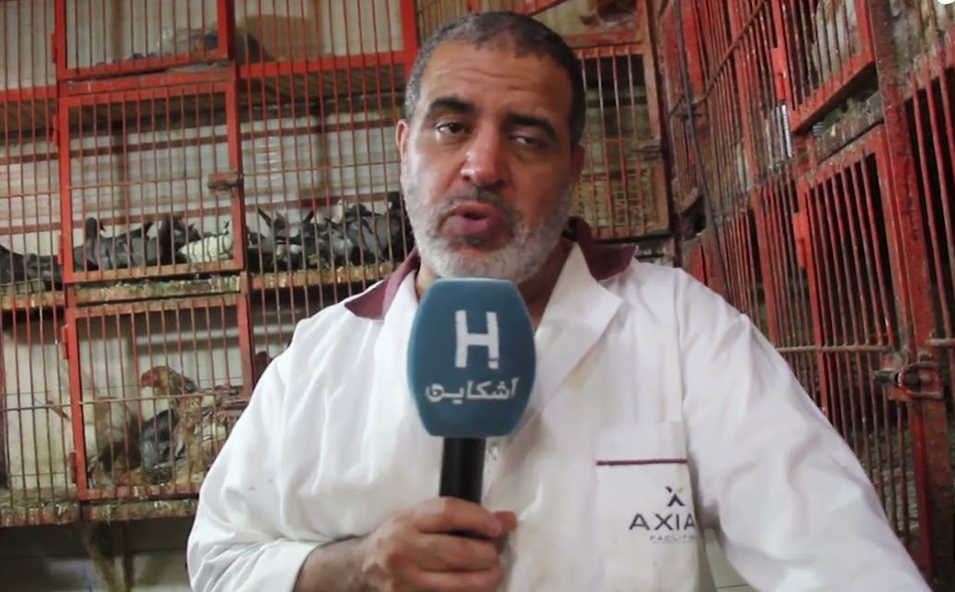 أثمنة الدجاج بمراكش