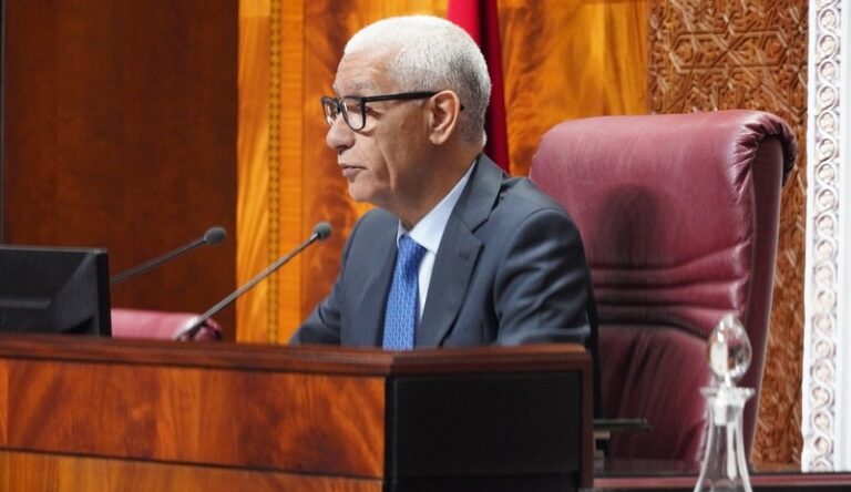 رسميا: الطالبي العلمي يحيل “قانون مهنة المحاماة” على المحكمة الدستورية