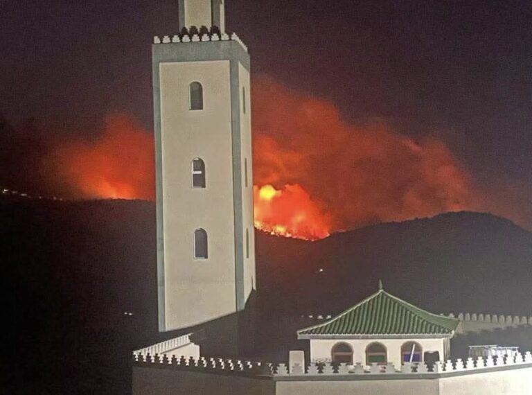 حريق غابة ملوسة يستنفر سلطات طنجة (صور)