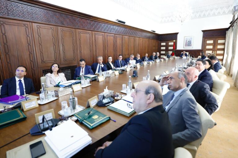 الحكومة تعلن عن عدد من التعيينات بمناصب عليا في الرمق الأخير من ولايتها