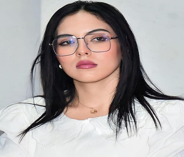 هل ما زلنا أسرى لمفهوم الحزب الإداري؟ وجهة نظر في مفهوم يحتاج إلى مراجعة